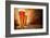 Glasses of Beer on Wooden Table-Jag_cz-Framed Photographic Print