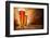 Glasses of Beer on Wooden Table-Jag_cz-Framed Photographic Print