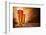 Glasses of Beer on Wooden Table-Jag_cz-Framed Photographic Print