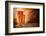 Glasses of Beer on Wooden Table-Jag_cz-Framed Photographic Print