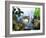 Glasses of White Wine on Table With River Relected in Glass, Loire, France, Europe-John Miller-Framed Photographic Print