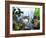 Glasses of White Wine on Table With River Relected in Glass, Loire, France, Europe-John Miller-Framed Photographic Print