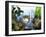 Glasses of White Wine on Table With River Relected in Glass, Loire, France, Europe-John Miller-Framed Photographic Print