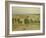 Glastonbury Plain, 1926 oil on paper-William Nicholson-Framed Giclee Print