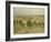 Glastonbury Plain, 1926 oil on paper-William Nicholson-Framed Giclee Print