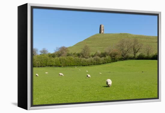 Glastonbury Tor Hill Somerset England-acceleratorhams-Framed Premier Image Canvas