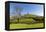 Glastonbury Tor, Somerset, England-acceleratorhams-Framed Premier Image Canvas