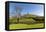 Glastonbury Tor, Somerset, England-acceleratorhams-Framed Premier Image Canvas