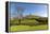 Glastonbury Tor, Somerset, England-acceleratorhams-Framed Premier Image Canvas