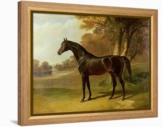 'Glaucus'-John Frederick Herring I-Framed Premier Image Canvas