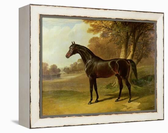 'Glaucus'-John Frederick Herring I-Framed Premier Image Canvas