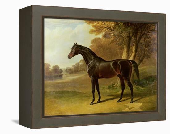 'Glaucus'-John Frederick Herring I-Framed Premier Image Canvas