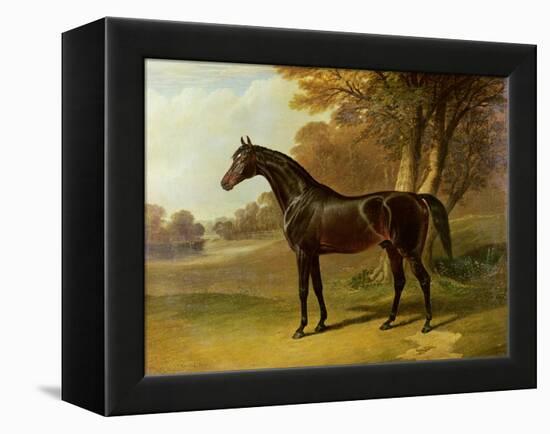 'Glaucus'-John Frederick Herring I-Framed Premier Image Canvas