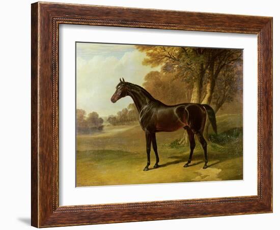 'Glaucus'-John Frederick Herring I-Framed Giclee Print