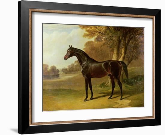 'Glaucus'-John Frederick Herring I-Framed Giclee Print