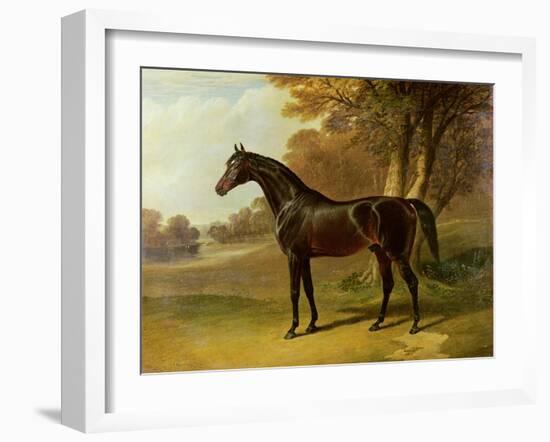 'Glaucus'-John Frederick Herring I-Framed Giclee Print