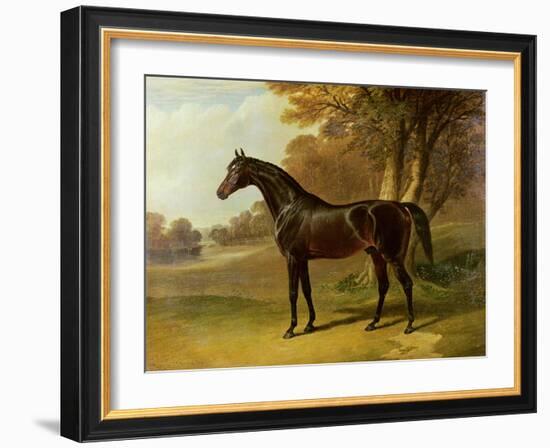 'Glaucus'-John Frederick Herring I-Framed Giclee Print