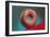 Glazed Donut, Retro-null-Framed Art Print