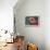 Glazed Donut, Retro-null-Framed Stretched Canvas displayed on a wall