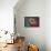 Glazed Donut, Retro-null-Framed Stretched Canvas displayed on a wall