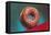 Glazed Donut, Retro-null-Framed Stretched Canvas