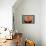 Glazed Donut-null-Framed Stretched Canvas displayed on a wall
