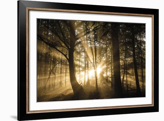 Gleaming Through-Lee Frost-Framed Giclee Print