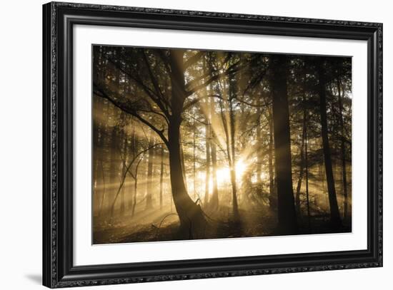 Gleaming Through-Lee Frost-Framed Giclee Print