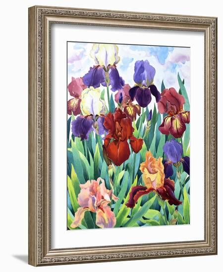 Glemsford Irises-Christopher Ryland-Framed Giclee Print