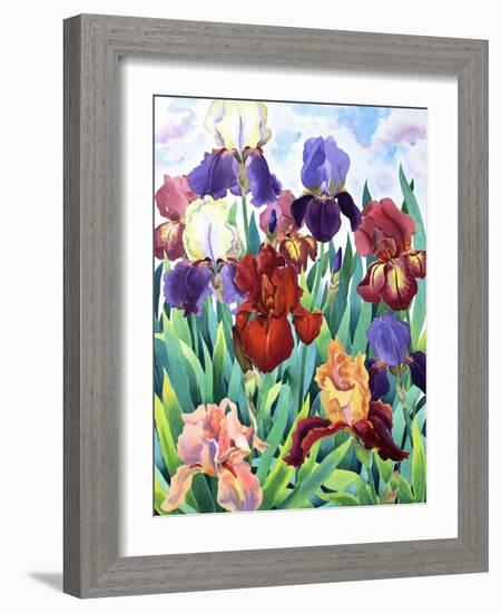 Glemsford Irises-Christopher Ryland-Framed Giclee Print