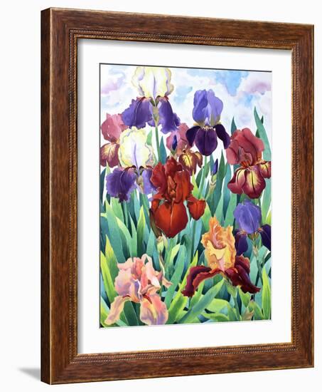 Glemsford Irises-Christopher Ryland-Framed Giclee Print