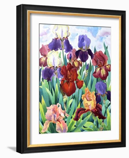 Glemsford Irises-Christopher Ryland-Framed Giclee Print