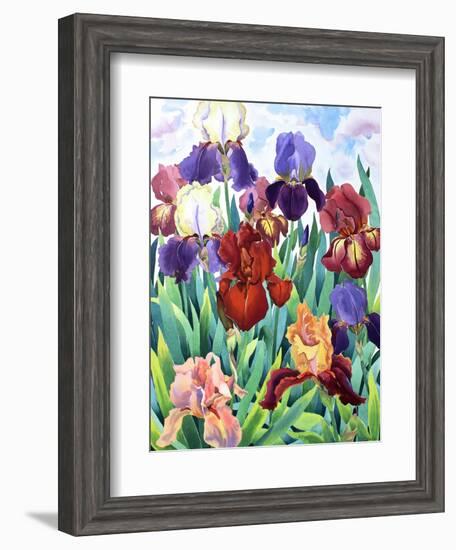 Glemsford Irises-Christopher Ryland-Framed Premium Giclee Print