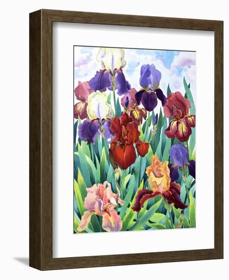 Glemsford Irises-Christopher Ryland-Framed Premium Giclee Print