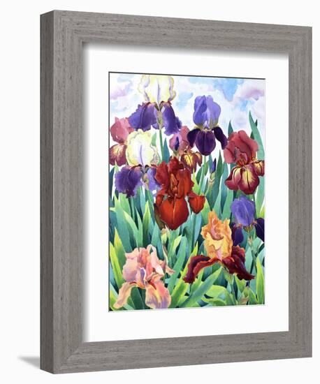 Glemsford Irises-Christopher Ryland-Framed Giclee Print