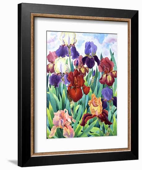 Glemsford Irises-Christopher Ryland-Framed Giclee Print