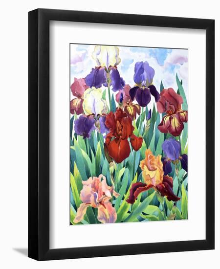 Glemsford Irises-Christopher Ryland-Framed Giclee Print