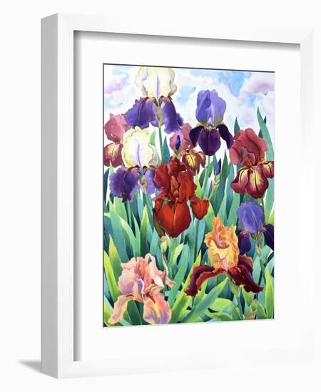 Glemsford Irises-Christopher Ryland-Framed Giclee Print