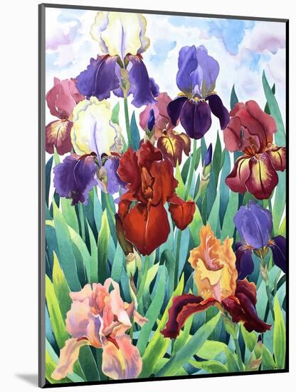 Glemsford Irises-Christopher Ryland-Mounted Giclee Print