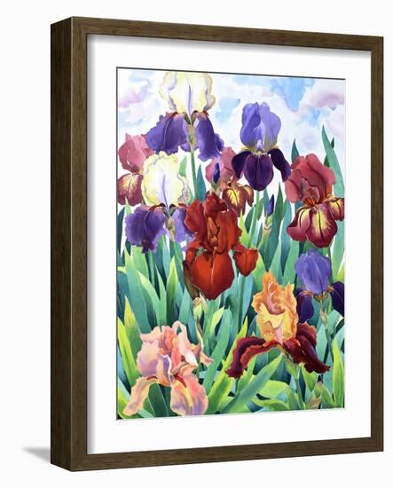 Glemsford Irises-Christopher Ryland-Framed Premium Giclee Print