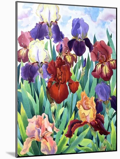 Glemsford Irises-Christopher Ryland-Mounted Premium Giclee Print