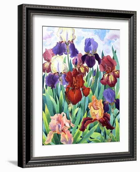 Glemsford Irises-Christopher Ryland-Framed Premium Giclee Print