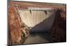 Glen Canyon Dam across Colorado River Arizona-David Wall-Mounted Photographic Print