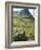 Glen Coe, South of Fort William, Scotlish Highlands, Scotland, United Kingdom, Europe-Andrew Stewart-Framed Photographic Print