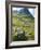 Glen Coe, South of Fort William, Scotlish Highlands, Scotland, United Kingdom, Europe-Andrew Stewart-Framed Photographic Print