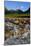 Glen Etive-Charles Bowman-Mounted Photographic Print