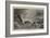 Glen Head, Donegal, Scene of the Late Wrecks-Walter William May-Framed Giclee Print