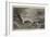 Glen Head, Donegal, Scene of the Late Wrecks-Walter William May-Framed Giclee Print