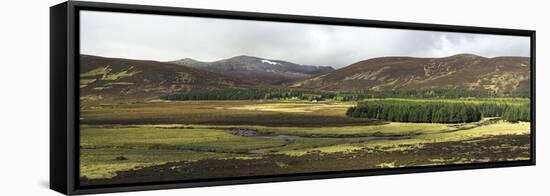 Glen Muick, Scotland, UK-Duncan Shaw-Framed Premier Image Canvas