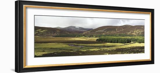 Glen Muick, Scotland, UK-Duncan Shaw-Framed Photographic Print